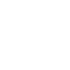 bysoft-logo